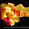 USC 2